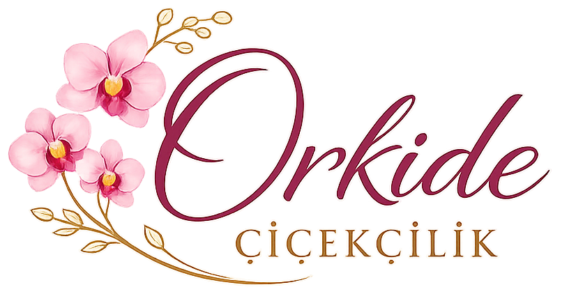 Konya Çiçekçi Orkide Çiçekçilik